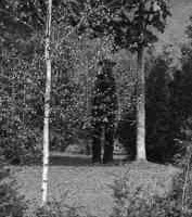 The Hill That Got Up and Walked Away